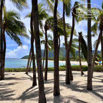 фото из отзыва ID 2731263