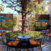 фото из отзыва ID 2731298