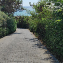 фото из отзыва ID 2731299