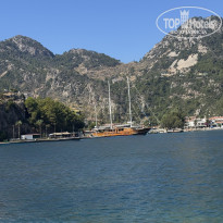 фото из отзыва ID 2731306