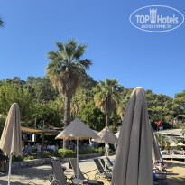 фото из отзыва ID 2731306