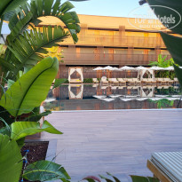 фото из отзыва ID 2731348