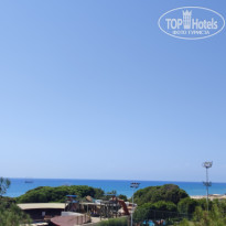 фото из отзыва ID 2731347