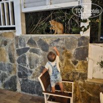 фото из отзыва ID 2731358