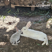 фото из отзыва ID 2731358