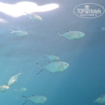 фото из отзыва ID 2731358