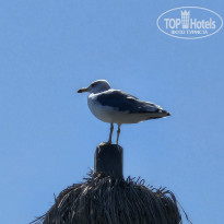 фото из отзыва ID 2731358