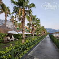 фото из отзыва ID 2731358