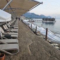 фото из отзыва ID 2731358