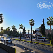 фото из отзыва ID 2731364