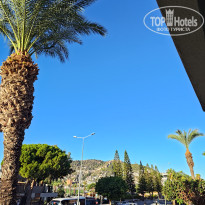 фото из отзыва ID 2731364