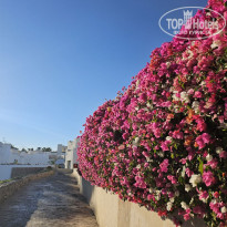 фото из отзыва ID 2731383