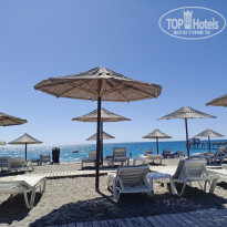 фото из отзыва ID 2731387