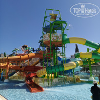 фото из отзыва ID 2731387