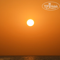 фото из отзыва ID 2731467