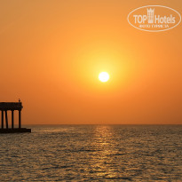 фото из отзыва ID 2731467