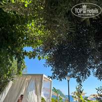 фото из отзыва ID 2731479