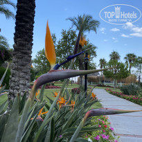 фото из отзыва ID 2731483