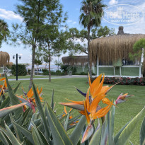 фото из отзыва ID 2731483