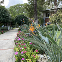 фото из отзыва ID 2731483