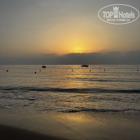 фото из отзыва ID 2731486