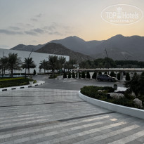 фото из отзыва ID 2731486