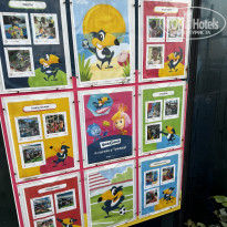 фото из отзыва ID 2731486