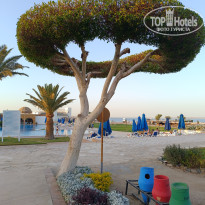 фото из отзыва ID 2731506