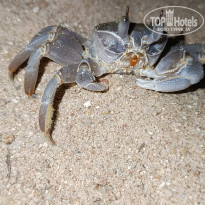 фото из отзыва ID 2731506