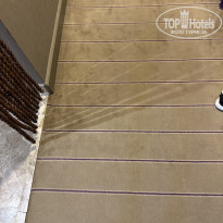 фото из отзыва ID 2731521