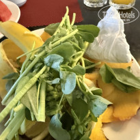 фото из отзыва ID 2731521