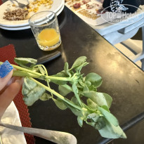 фото из отзыва ID 2731521