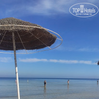 фото из отзыва ID 2730624