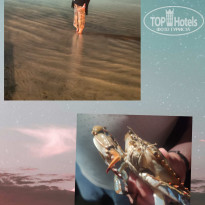 фото из отзыва ID 2730624