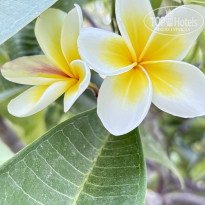 фото из отзыва ID 2731542