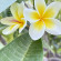 фото из отзыва ID 2731542