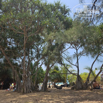 фото из отзыва ID 2731573