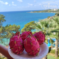 фото из отзыва ID 2731581