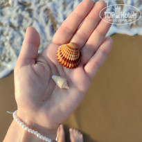 фото из отзыва ID 2731581