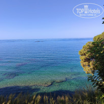 фото из отзыва ID 2731581