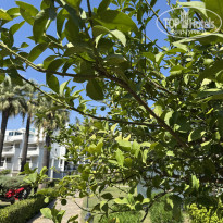 фото из отзыва ID 2731600