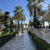 фото из отзыва ID 2731600