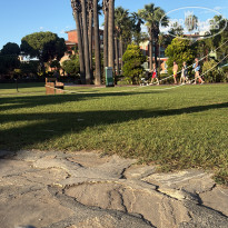 фото из отзыва ID 2731609