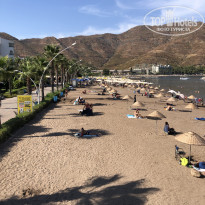 фото из отзыва ID 2731622