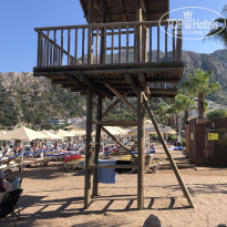 фото из отзыва ID 2731622