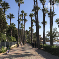 фото из отзыва ID 2731622