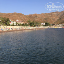 фото из отзыва ID 2731622