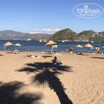 фото из отзыва ID 2731622