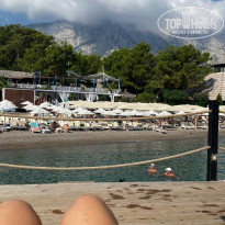 фото из отзыва ID 2731632