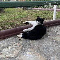 фото из отзыва ID 2731632